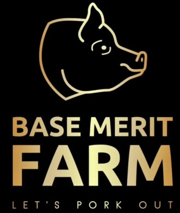 cropped-Base-Merit-Logo-cropped.jpg