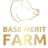 cropped-Base-Merit-Logo-cropped-removebg-preview